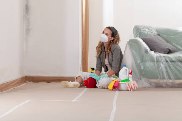 Reliable Mold Inspection And Testing contractor in Harmans, MD by Mold Remediation HQ